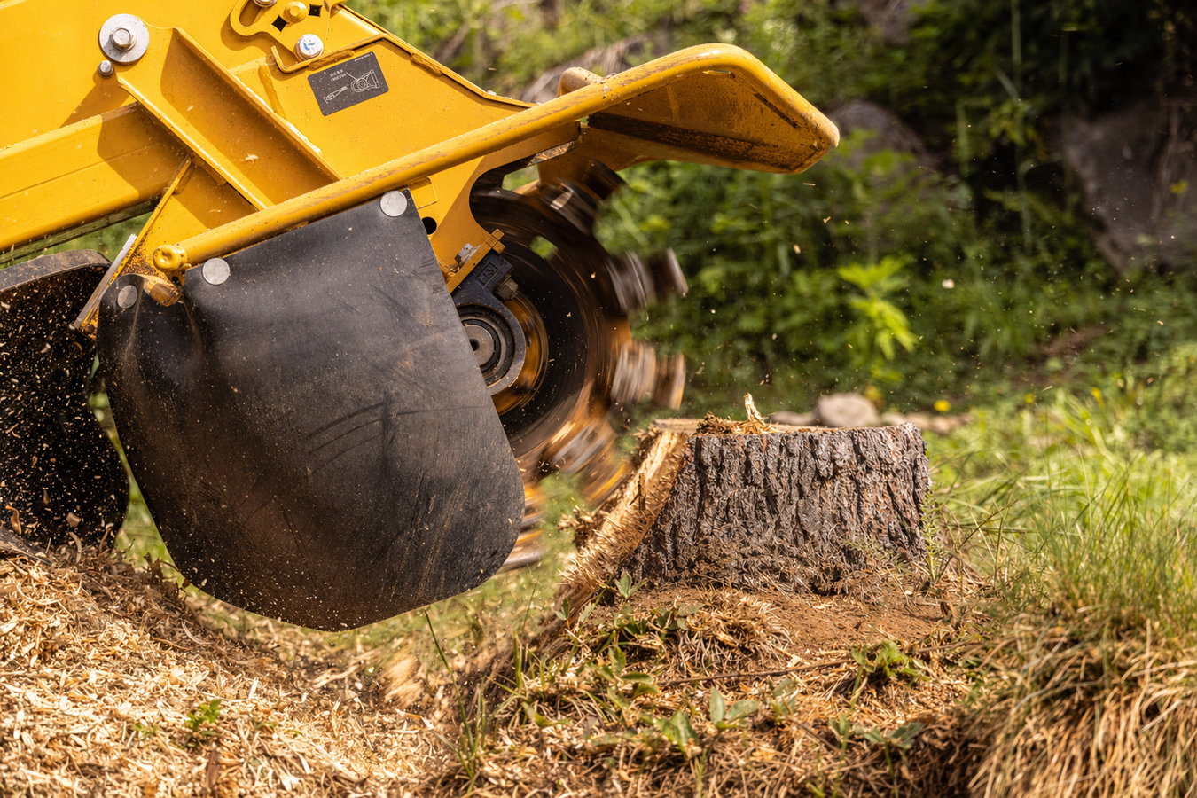 Stump grinding in La Crescenta-Montrose, CA